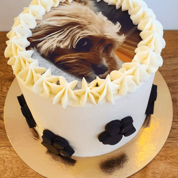 tarta con foto perro